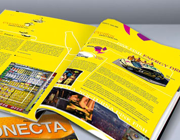Imprenta Toluca y Metepec, impresión digital revistas |  www.publicidadtoluca.com |